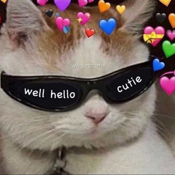 Meet your Posher, Tess! - Picture 4 of 4